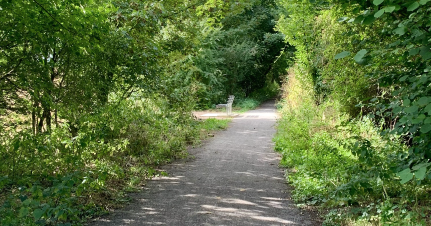 The Path Ahead of Us