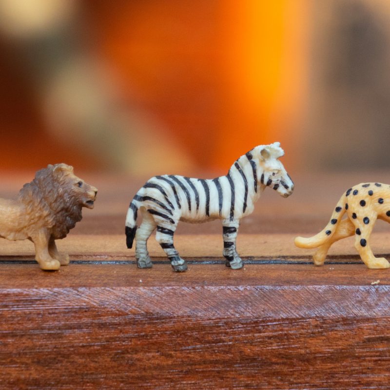 Toy wild animal figures following each other in a row on a table